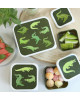 A little lovely company Σετ 4 δοχεία φαγητού Lunch & Snack Box Crocodiles SBSEVR59