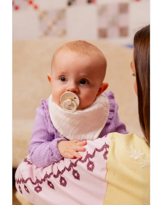 Bibs σετ πιπίλες 2τμχ–boheme latex –peach/woodchuck– στρόγγυλη No1 230108