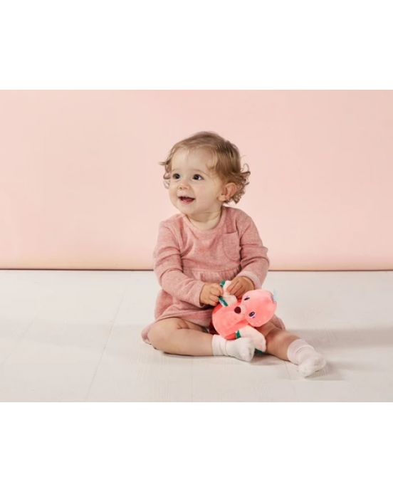 Lilliputiens Ζωάκι Αναΐς σε κουτί δώρου LΙ83087