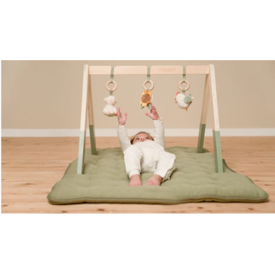 Little Dutch Βρεφικό γυμναστήριο Little Farm LD8810