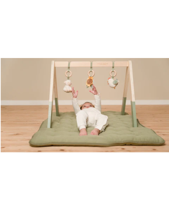 Little Dutch Βρεφικό γυμναστήριο Little Farm LD8810