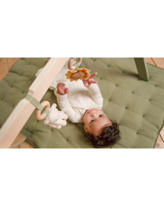 Little Dutch Βρεφικό γυμναστήριο Little Farm LD8810