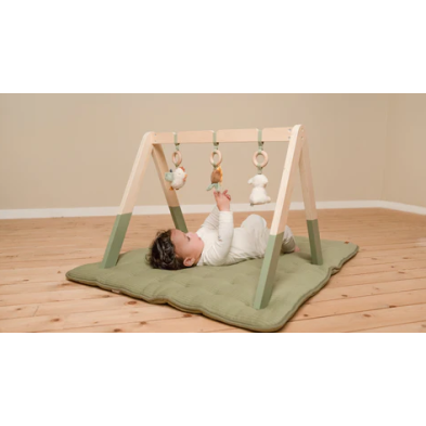 Little Dutch Βρεφικό γυμναστήριο Little Farm LD8810