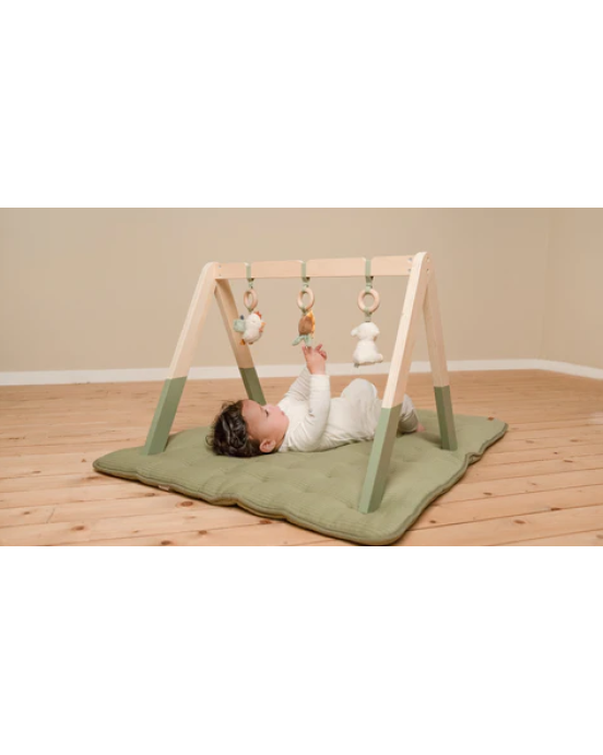 Little Dutch Βρεφικό γυμναστήριο Little Farm LD8810