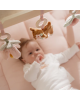 Little Dutch Βρεφικό γυμναστήριο Fairy Garden FSC LD9010
