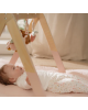 Little Dutch Βρεφικό γυμναστήριο Fairy Garden FSC LD9010