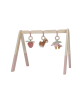 Little Dutch Βρεφικό γυμναστήριο Fairy Garden FSC LD9010