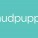 Mudpuppy