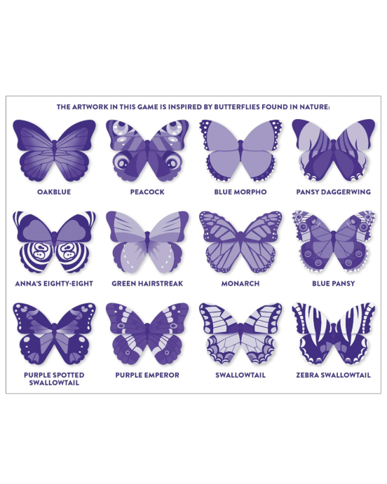 Mudpuppy παιχνιδι μνημης πεταλουδες BER-356326