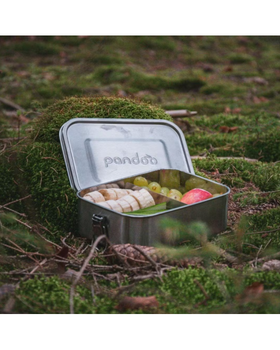 Pandoo δοχείο φαγητού με χώρισμα από ανοξείδωτο ατσάλι | 800ml 