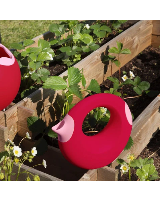 Quut Ποτιστήρι 1L (ροζ-κόκκινο) QU171416