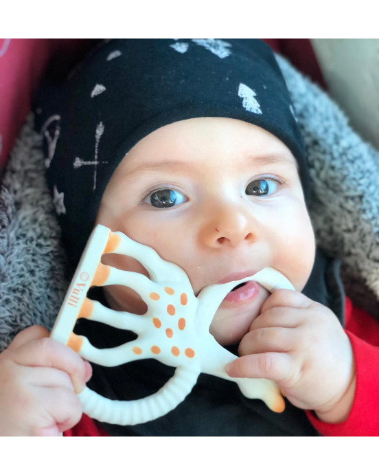 Sophie la Girafe Δακτύλιος Σόφι καμηλοπάρδαλη Soft S200318