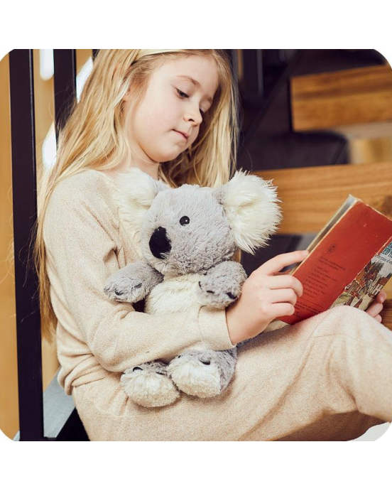 Warmies Κοάλα CP-KOA-1