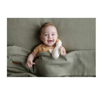 Little Dutch Υφασμάτινη Κουδουνίστρα πίεσης Little Goose