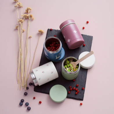 Fresk: Θερμός φαγητού με διπλό τοίχωμα από ανοξείδωτο ατσάλι 300ml - Dino FR-FD100-10