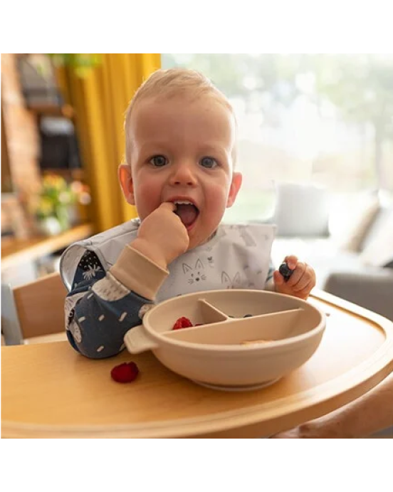  BabyOno: Πιάτο σιλικόνης με 3 θέσεις, καπάκι & βάση με βεντούζα - Μπεζ BN1661/03