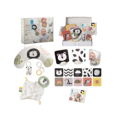 Taf Toys Βρεφικό Σετ Δραστηριοτήτων  Newborn Develop & Play Kit  T-12915