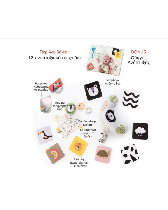 Taf Toys Βρεφικό Σετ Δραστηριοτήτων  Newborn Develop & Play Kit  T-12915