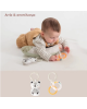 Taf Toys Βρεφικό Σετ Δραστηριοτήτων  Newborn Develop & Play Kit  T-12915