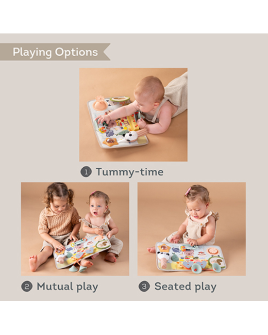 Taf Toys Peek, Pop & Play Station T-13845