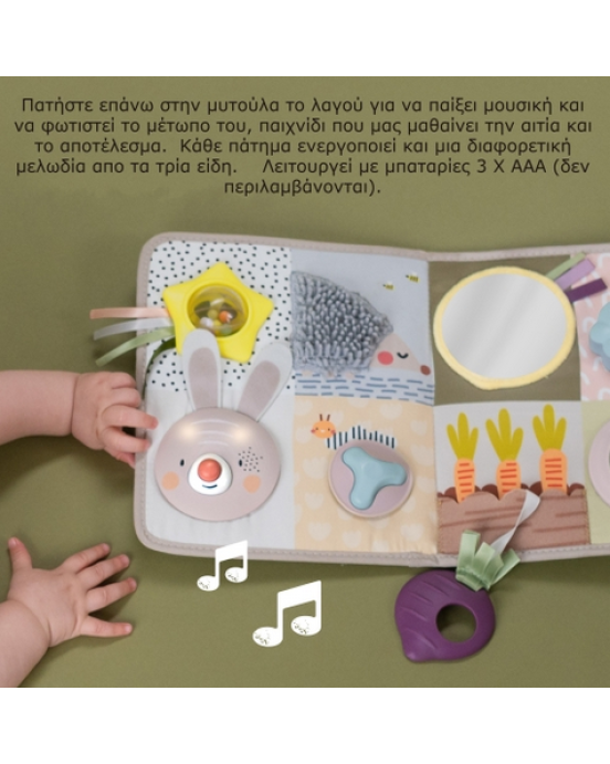 Taf Toys Μουσικό παιχνίδι δραστηριοτήτων Developmental Activity center    T-13115