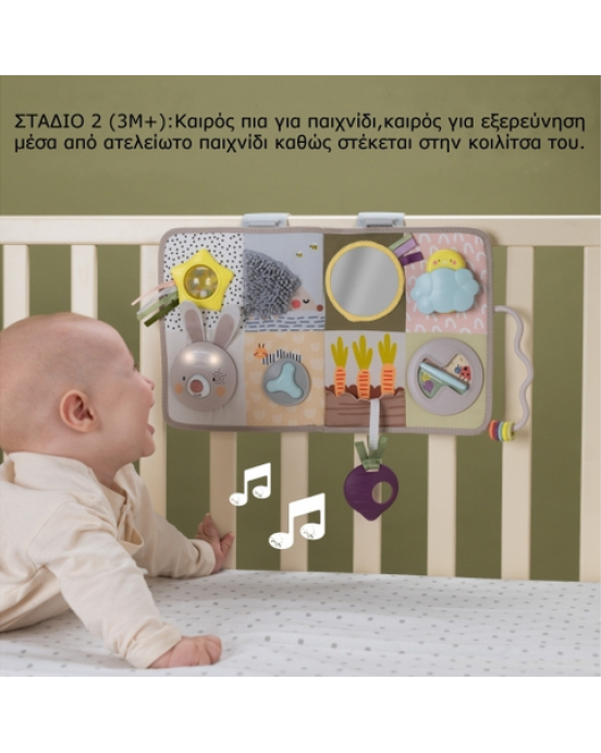 Taf Toys Μουσικό παιχνίδι δραστηριοτήτων Developmental Activity center    T-13115