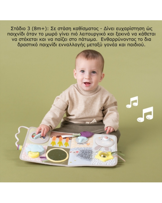 Taf Toys Μουσικό παιχνίδι δραστηριοτήτων Developmental Activity center    T-13115