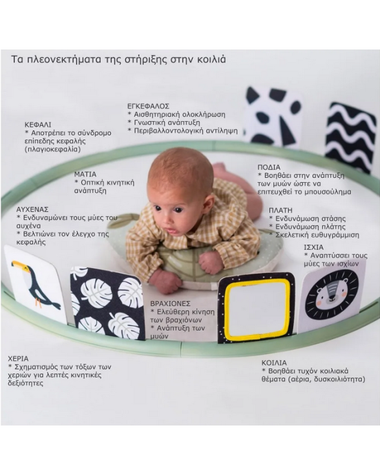 Taf Toys Κέντρο Δραστηριοτήτων  Tummy Time Trainer  T-12945