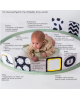 Taf Toys Κέντρο Δραστηριοτήτων  Tummy Time Trainer  T-12945