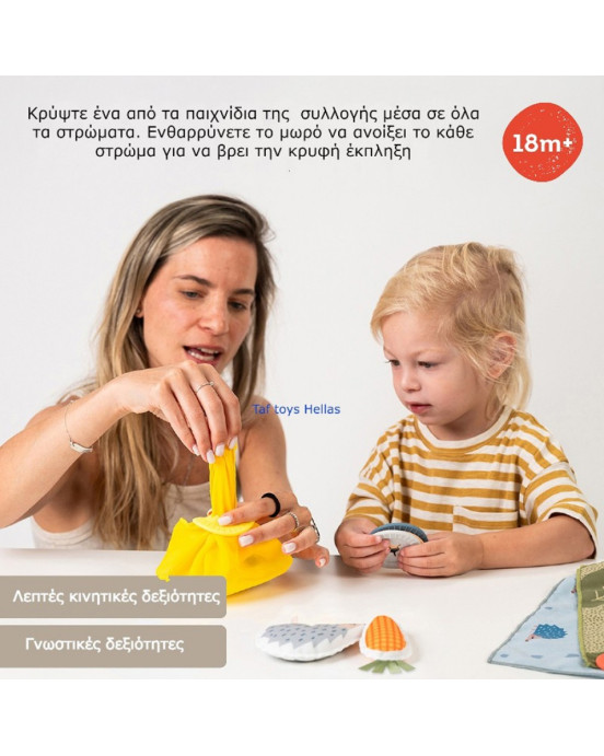 Taf Toys Εκπαιδευτικό Παιχνίδι Δραστηριοτήτων  Peek-a-boo What's inside T-13335