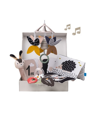 Taf Toys  Μουσικό Κουτί Black & White Kit T-13475