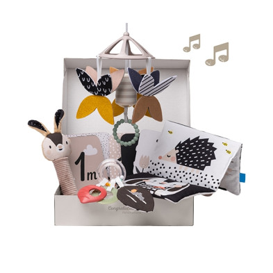 Taf Toys  Μουσικό Κουτί Black & White Kit T-13475