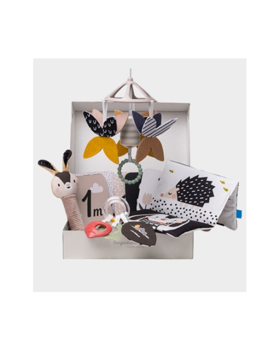 Taf Toys  Μουσικό Κουτί Black & White Kit T-13475
