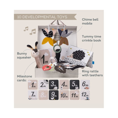 Taf Toys  Μουσικό Κουτί Black & White Kit T-13475