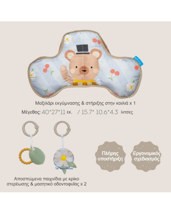 Taf Toys Μαξιλάρι Δραστηριοτήτων  Bear Tummy Time Pillow 605566137155