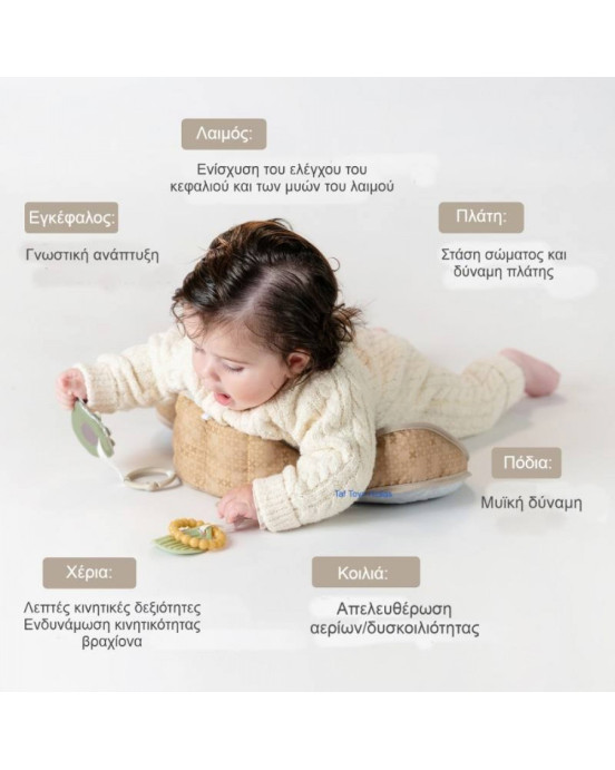 Taf Toys Μαξιλάρι Δραστηριοτήτων  Bear Tummy Time Pillow 605566137155