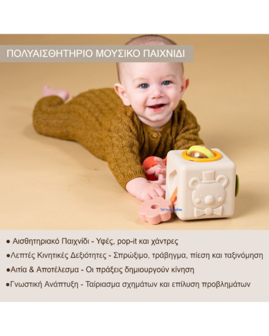 Taf Toys Κύβος Δραστηριοτήτων Σιλικόνης  Peek & Play T-13885