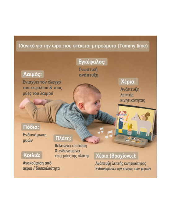 Taf Toys  Βιβλίο Δραστηριοτήτων Farm Musical Tummy Time Book  T-13935