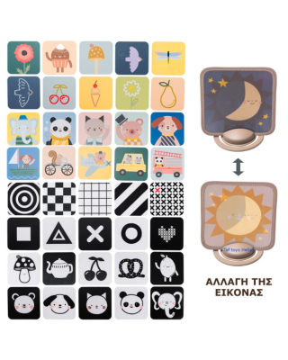 Taf Toys  Κάρτες Δραστηριοτήτων My 1st Discoveries Flash Cards T-13945