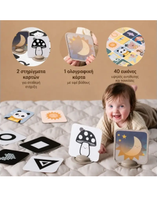Taf Toys  Κάρτες Δραστηριοτήτων My 1st Discoveries Flash Cards T-13945