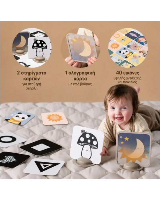 Taf Toys  Κάρτες Δραστηριοτήτων My 1st Discoveries Flash Cards T-13945