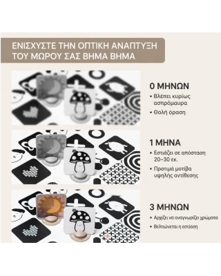 Taf Toys  Κάρτες Δραστηριοτήτων My 1st Discoveries Flash Cards T-13945