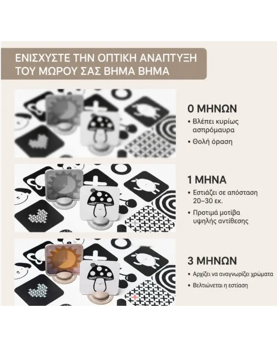 Taf Toys  Κάρτες Δραστηριοτήτων My 1st Discoveries Flash Cards T-13945