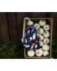 Παιδικό Backpack Scream