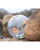 Filibabba – Beach Ball – Dino Beach Confetti