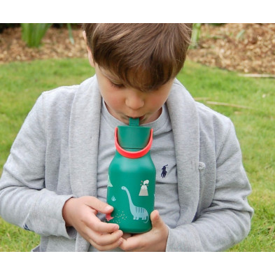 Little Lund Water Bottle 400ml – Dino
