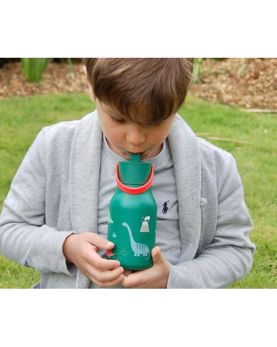 Little Lund Water Bottle 400ml – Dino