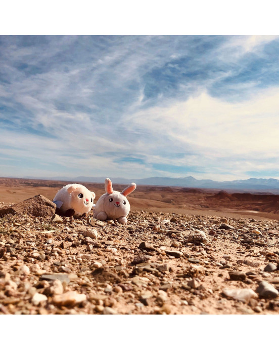 SHAKIES-RABBIT. Υφασμάτινο ζωάκι με φως Λαγουδάκι