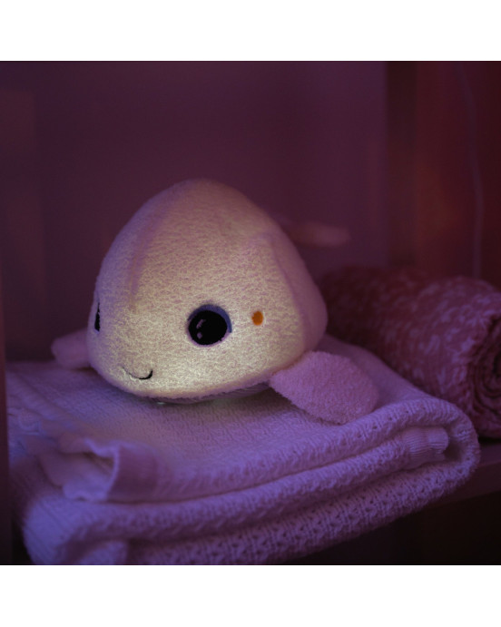 SOLI-BELUGA. Φως νύχτας με μουσική Φαλαινάκι