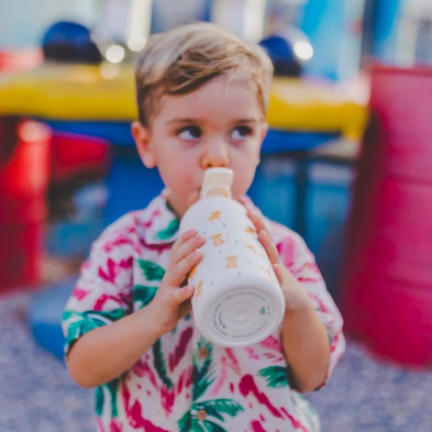 COOL BOTTLES. Ανοξείδωτο παιδικό παγούρι Γατούλες 350ml